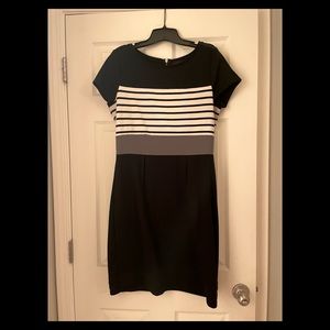 The Limited Stretch Dress